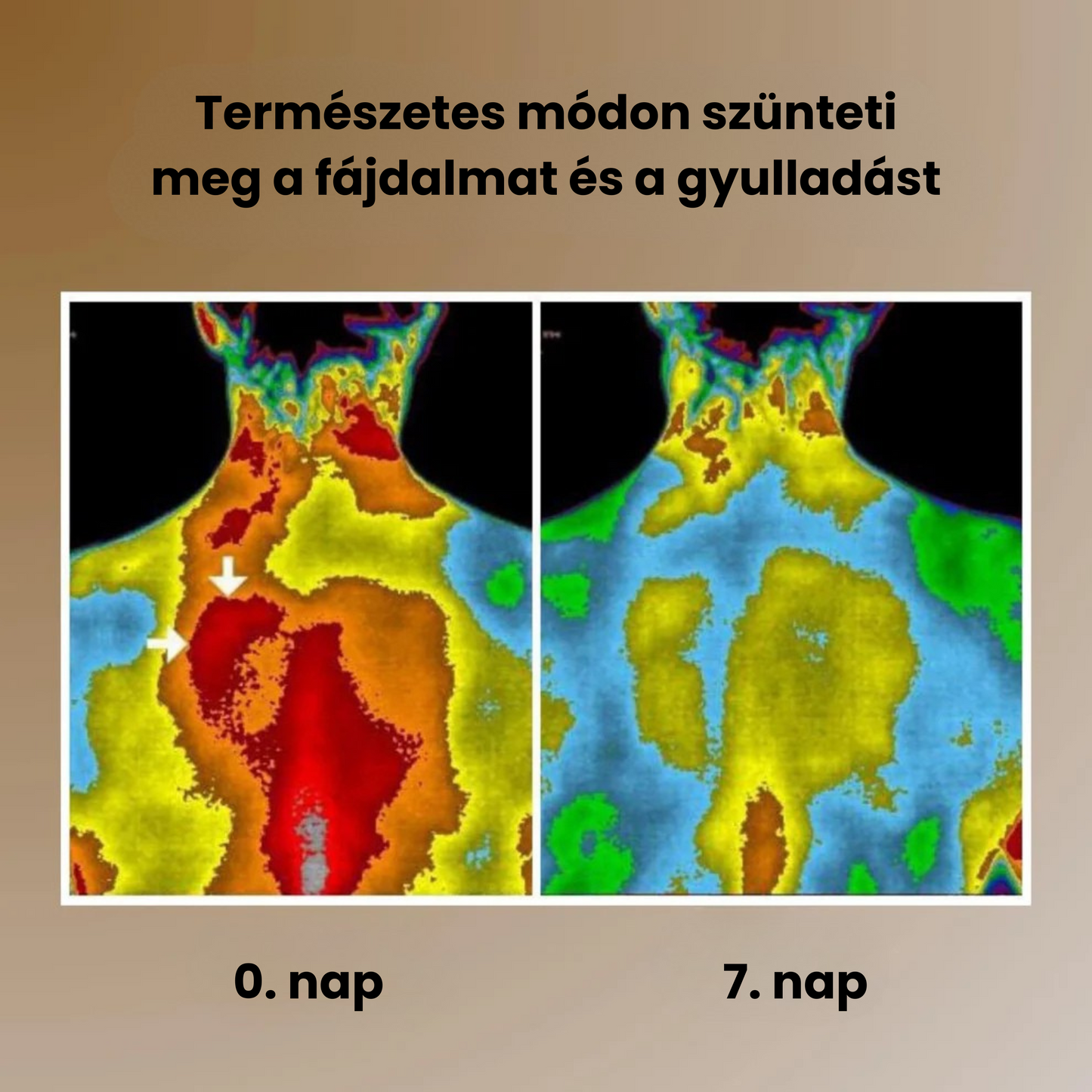 Földelő szőnyeg